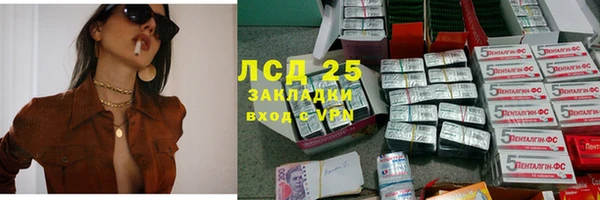 шишки Рославль