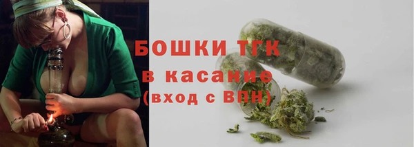 спиды Богородск