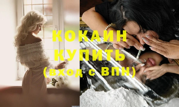 спиды Богородск