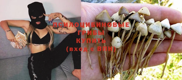 мдма Богородицк